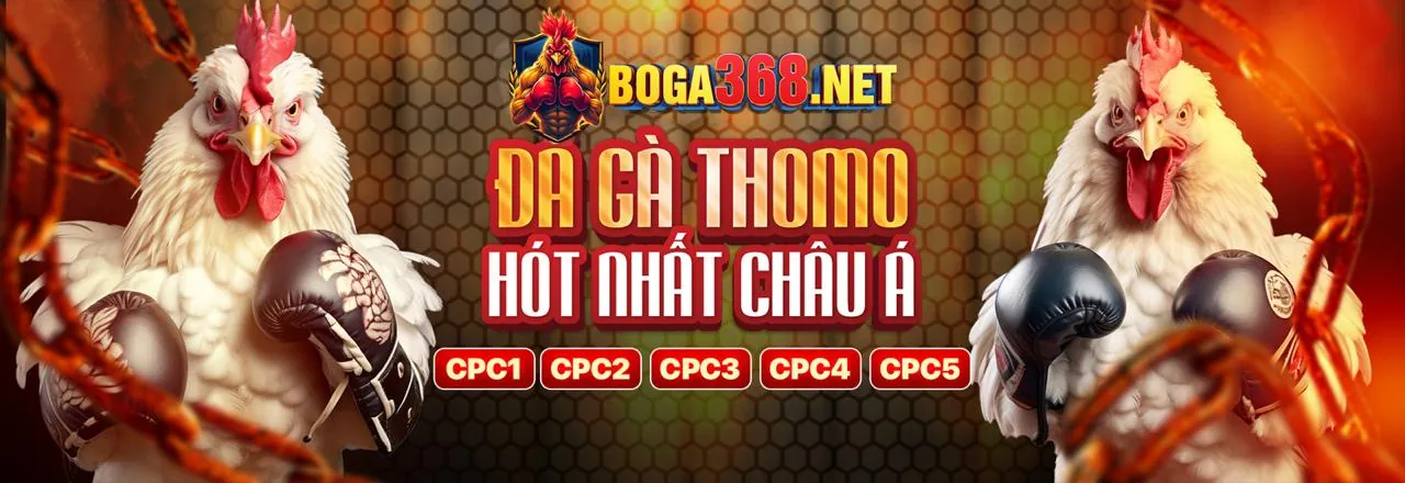 Ứng dụng Loto188 Android trên điện thoại thông minh